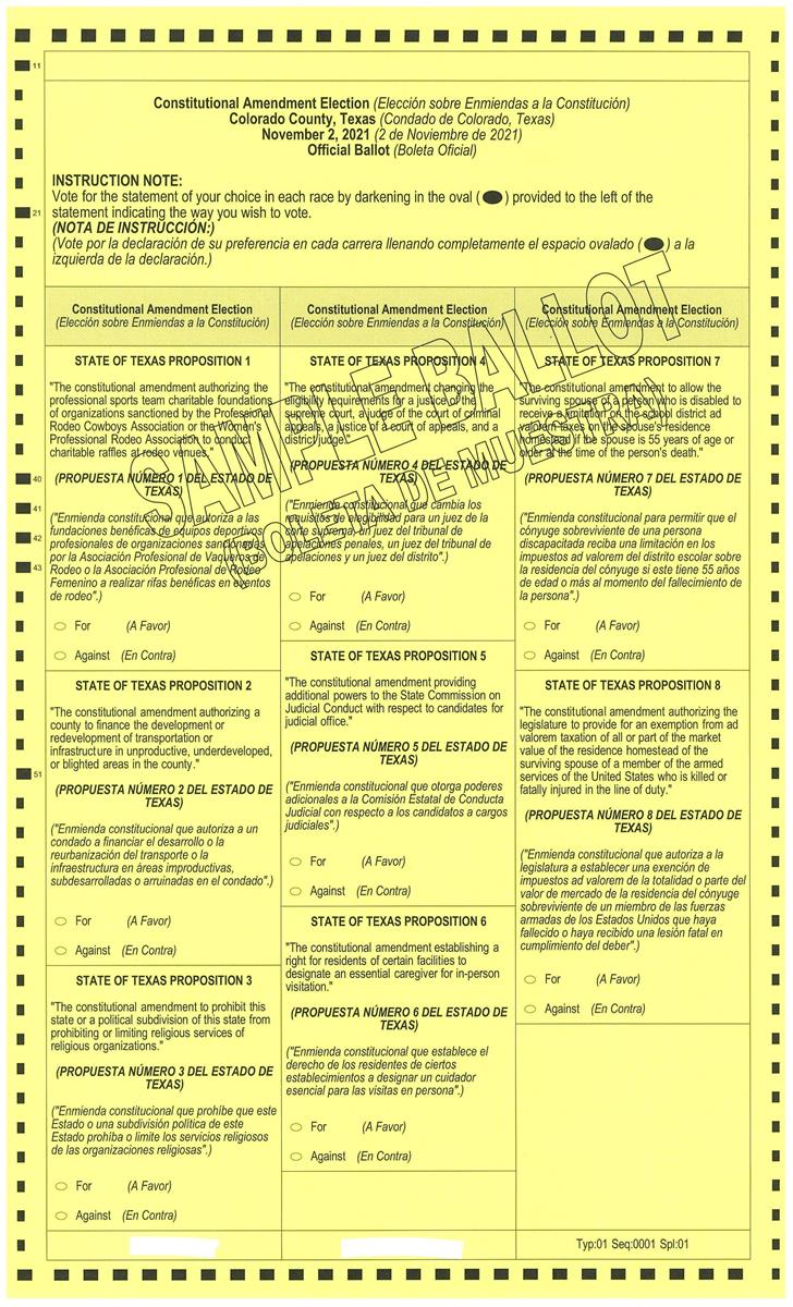 Constitutional Amendment Election November 2, 2021 sample ballot